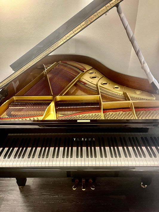 Pristine condition Yamaha C3 Grand Piano